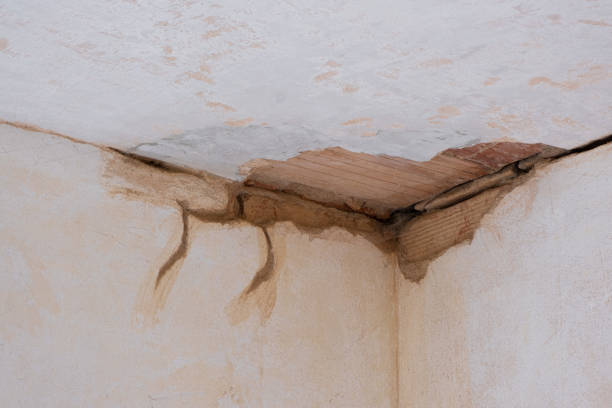 Best Water damage restoration experts  in Luray, VA