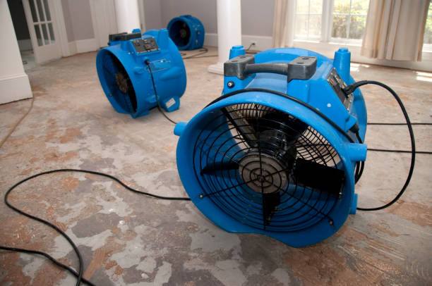 Best Water damage restoration specialists  in Luray, VA