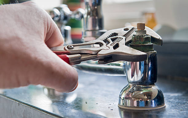 Best Flood restoration services  in Luray, VA