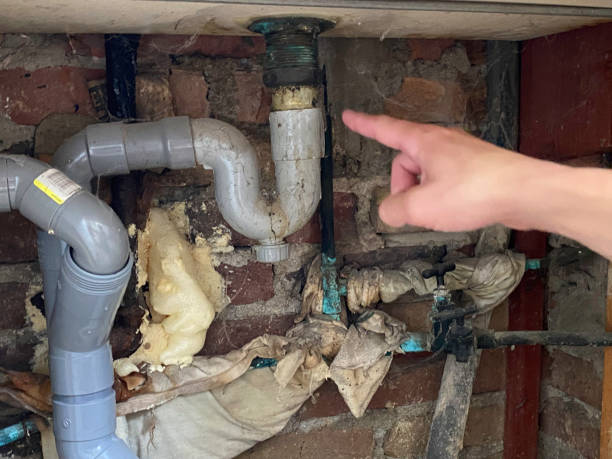 Best Residential water damage restoration  in Luray, VA
