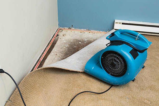 Best Water damage restoration insurance claims  in Luray, VA
